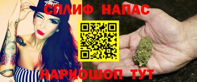 шишки Партизанск
