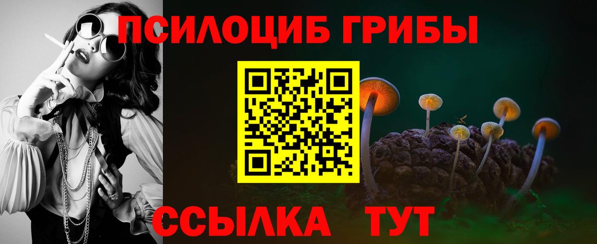 как найти наркотики  Вход с VPN  Приморско-Ахтарск  Галлюциногенные грибы Magic Shrooms 
